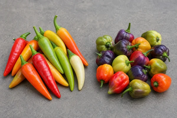 Aji Omnicolor vs Bolivian Rainbow: Grow or Cook