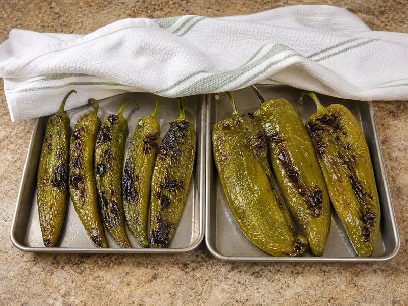 Blistered Anaheim and NuMex Big Jim peppers resting after roasting in separate trays