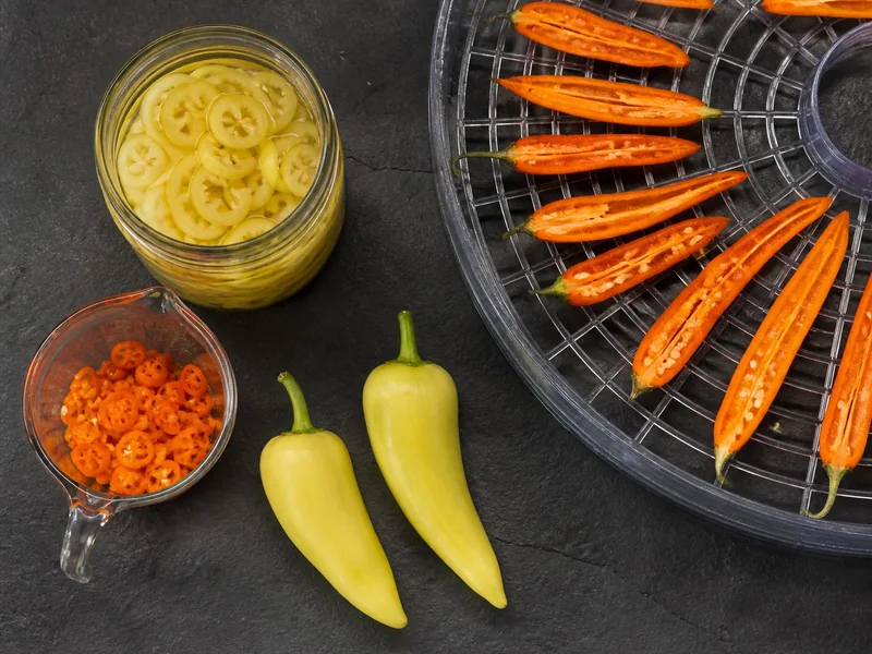Measured Bulgarian Carrot slices beside Hungarian Wax pickle rings and split orange peppers on a drying tray