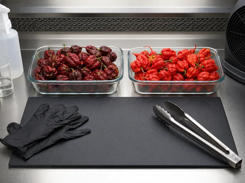 Black gloves and tongs beside separate trays of dark and red wrinkled superhot peppers
