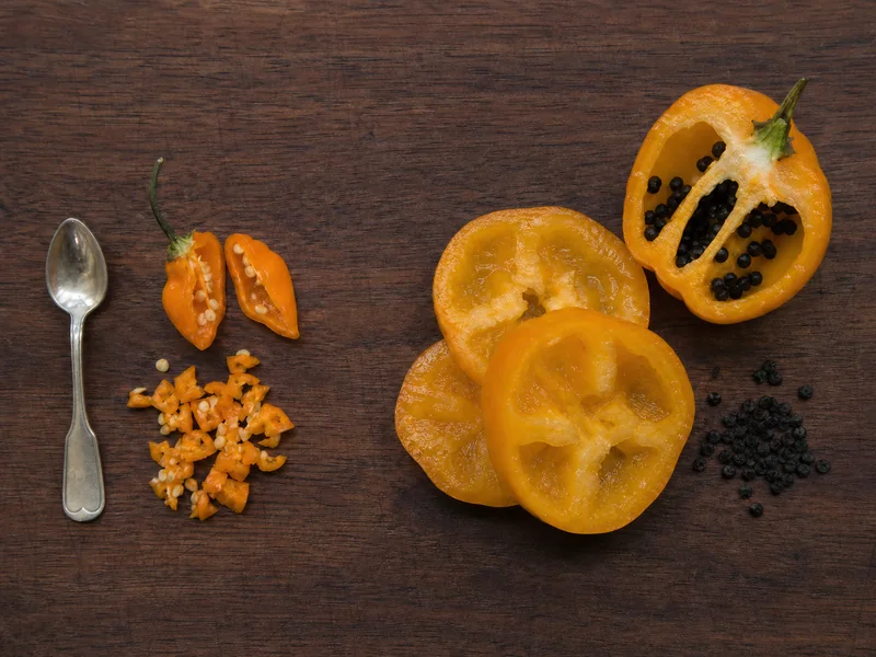 Small chopped orange habanero beside thick manzano slices with black seeds on a cutting board