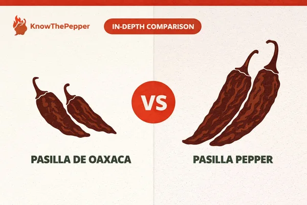 Pasilla de Oaxaca vs Pasilla Pepper – Heat & Flavor Compared