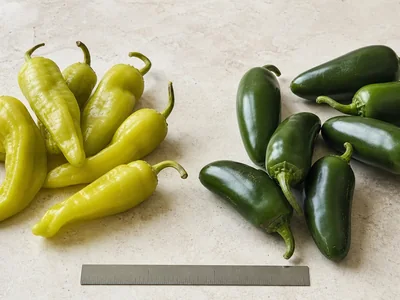 Pepperoncini vs Jalapeño: Heat, Flavor, and Best Uses