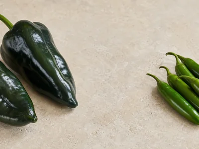 Poblano vs Serrano: Heat, Size, and Best Uses