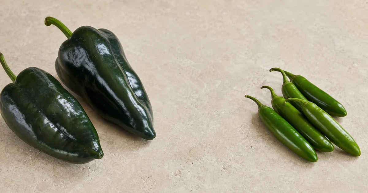 Broad poblano peppers beside smaller slender serrano peppers