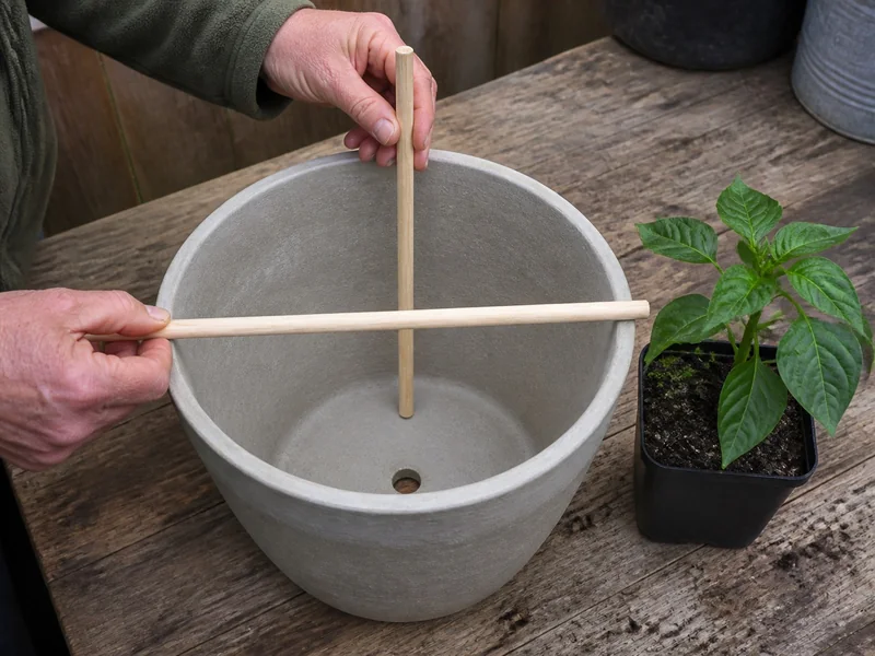 Plain dowels checking the inside width and depth of an empty pepper pot