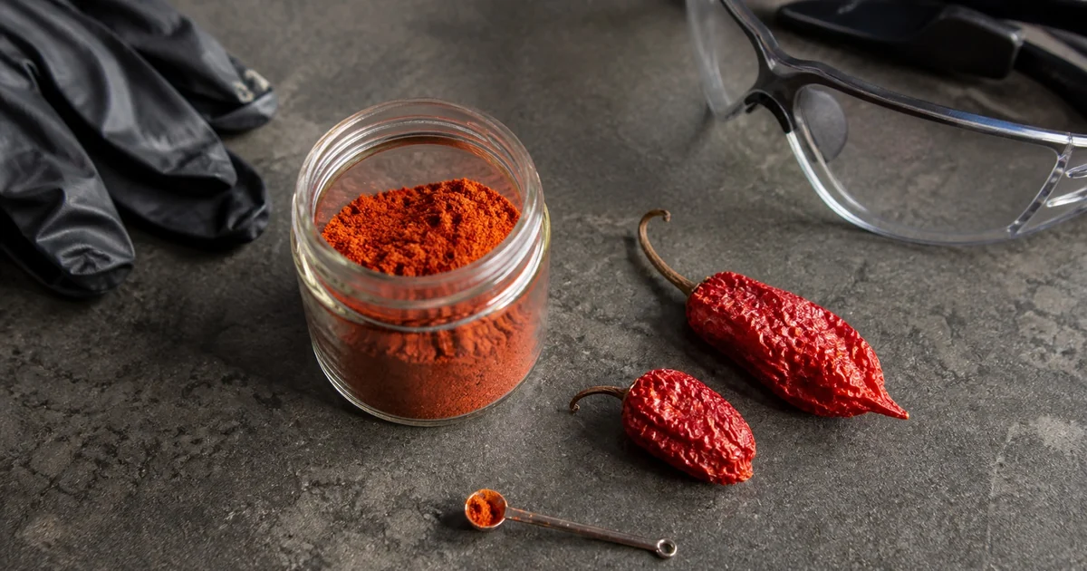 Ghost pepper powder with dried pods, a micro-spoon, gloves, and safety glasses