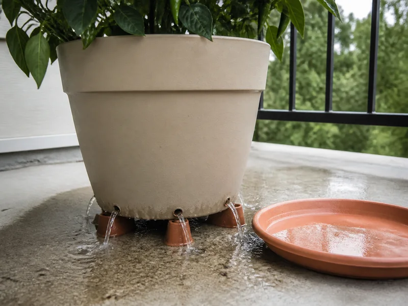 Jalapeno pot raised on feet as water drains from open holes beside an empty saucer