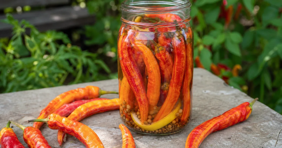 Pickled Sugar Rush Peppers Without Hiding the Fruit