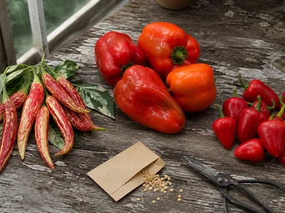 What Are Heirloom Peppers? Labels, Seeds, and Uses