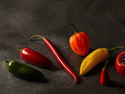 What Is a Chili Pepper? Fruit, Heat, Species, and Uses