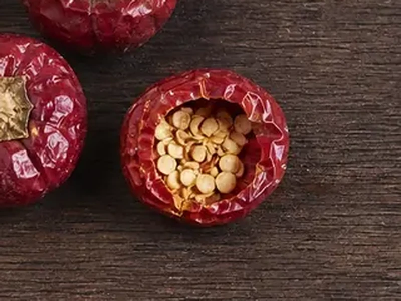 A dried Dundicut pod split open, showing the round hollow cavity and its cream-coloured seeds