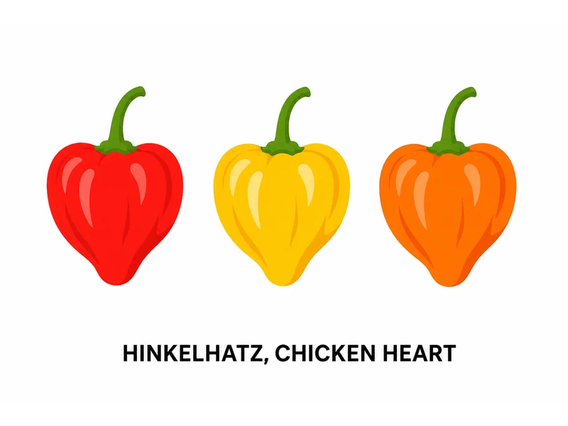 Small heart-shaped Hinkelhatz pods in red and yellow, the shape the Pennsylvania Dutch name describes