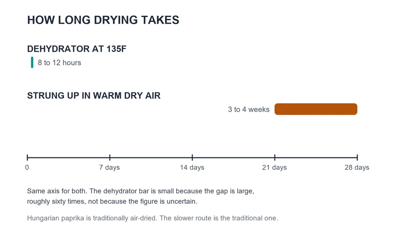 Time chart of two drying routes on one axis: dehydrator at 135F takes 8 to 12 hours, air drying strung up takes 3 to 4 weeks